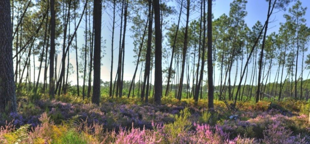 Faciliter des échanges entre services de la DDTM des Landes pour améliorer leur coordination